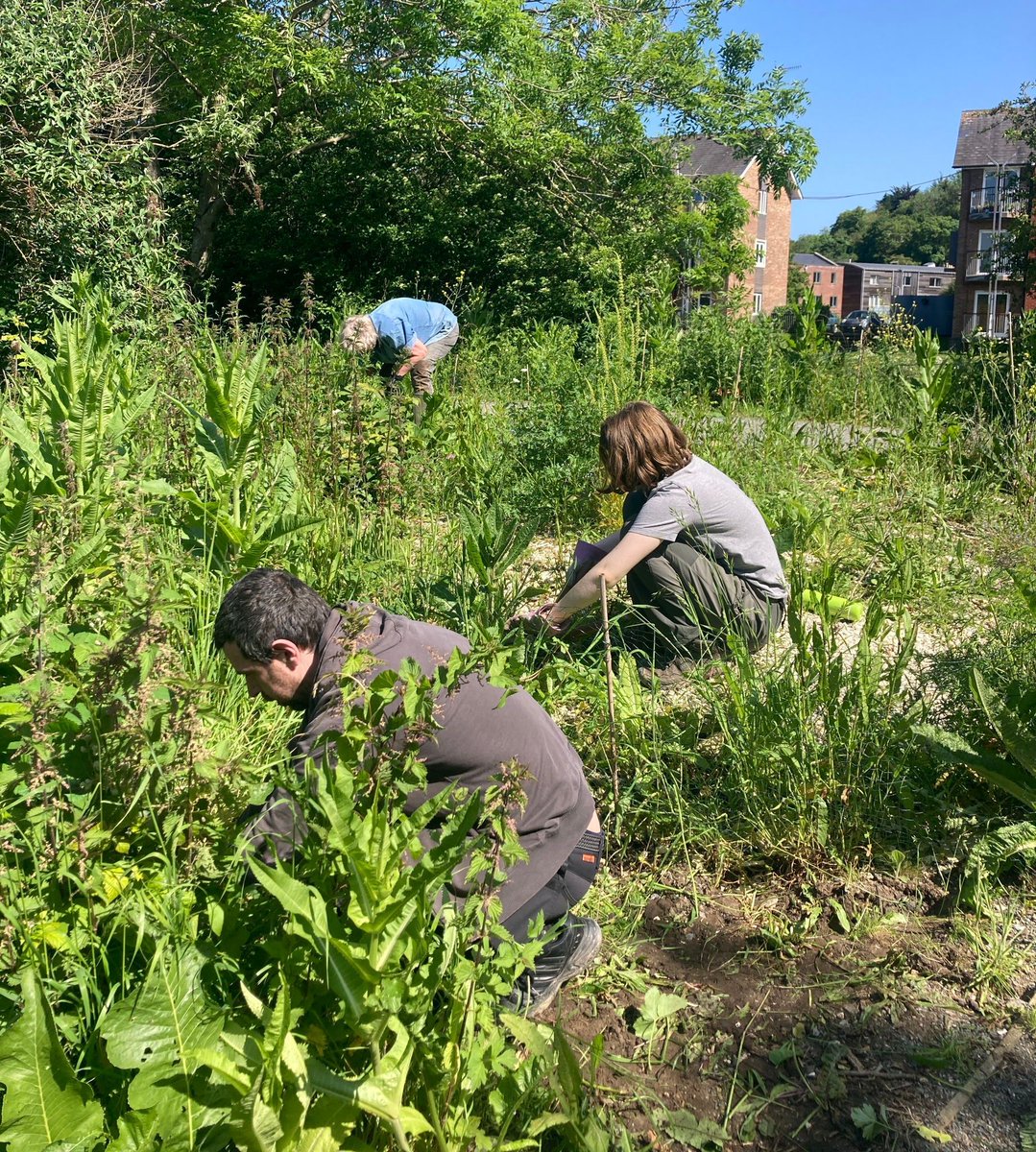 Railway Land Wildlife Trust tweet media