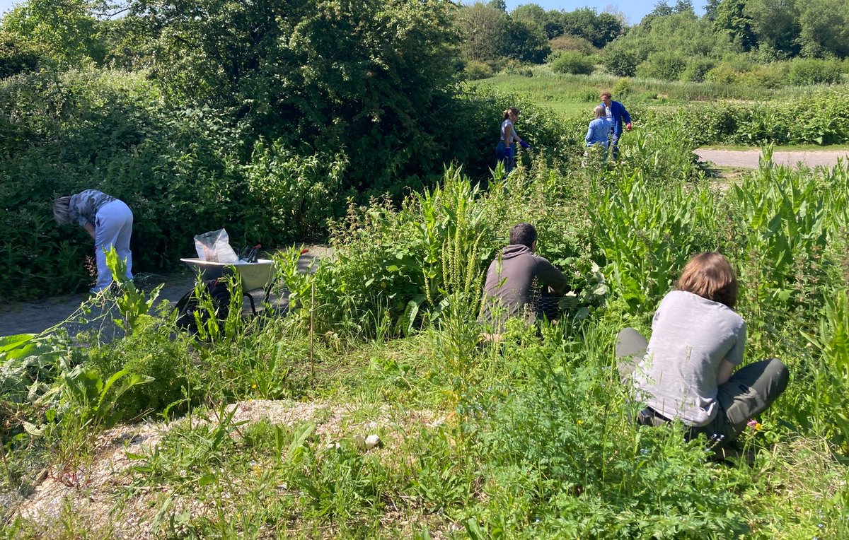 Railway Land Wildlife Trust tweet media