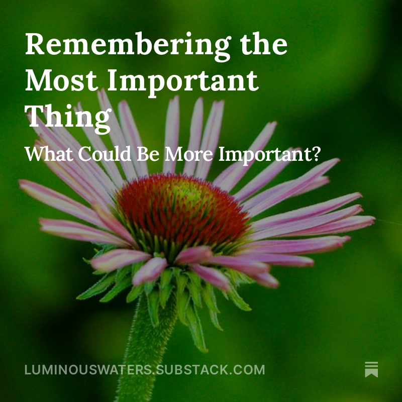 UnityPrime's tweet photo. “#TheMostImportantThing is to remember the most important thing.”
– Suzuki Roshi

In today’s “Age of Distraction,” staying conscious and aligned with what truly matters most is harder than ever.

Explore how to live from the most important question:
👉🏻🌕 https://t.co/rkTpwkws2Z https://t.co/gUaKLxJ22i