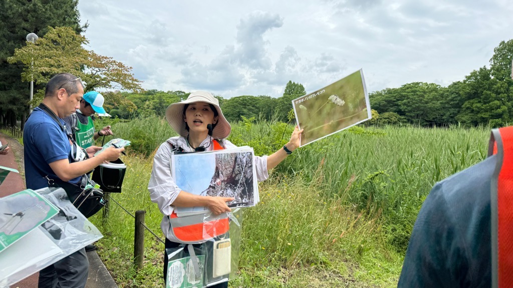igarashitatsuo's tweet photo. 【「洞峰公園とこれから」大盛況🌳】
まずはみんなで現状の共有を図るため、3コースに分かれて専門家による公園の探索ウォーク「公園の生き物探索🦋」、「子供の育ちと公園🧒」、「施設維持の公開🕹」を行ったわけですが、人数が多くコースの調整が必要なほど。

目的意識を持って歩くことで、生態系の豊かさとそれを感じる楽しさや、こどもたちの遊び場としての可能性、施設の維持管理でどのような工夫がされているか、と洞峰公園を多角的に学ぶことができたと思います。パネルセッションでは、事前にみなさんからいただいた意見や探索ウォークでの感想を踏まえて、これからの洞峰公園についていい議論ができました。準備や協力をくれたみなさまに感謝します🙇‍♂️

いただいたご意見を踏まえて協議会の立ち上げを進めていきたいと思います。結論ありきでも行政の一方通行でもない、市民とともに運営していく新しい公園の形をみなで模索していきます。協議会の方向性が見えてきたらまたご案内しますので、ぜひ一人でも多くの方にご参加いただければうれしいです。