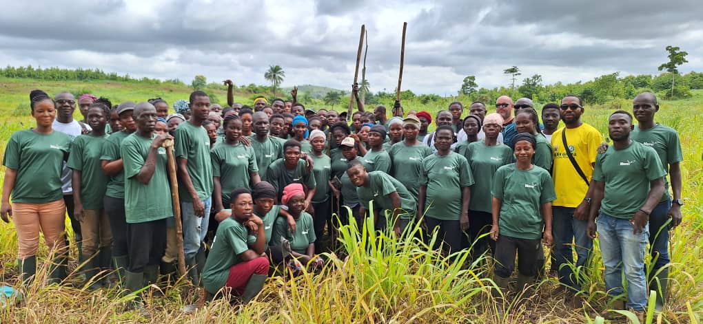 MerePlantations's tweet photo. Friday's #GreenGhanaDay was a huge success! Thank you to our Mere team & @fcghana2020 district division for starting the journey of 10,000 Teak seedlings & 200 mango seedlings for onward growing.
Greening Ghana together for a sustainable future.
#LetsGoPlanting #LetsGoGrowingπ¬ππ¬π§ https://t.co/LWwcEslJSp