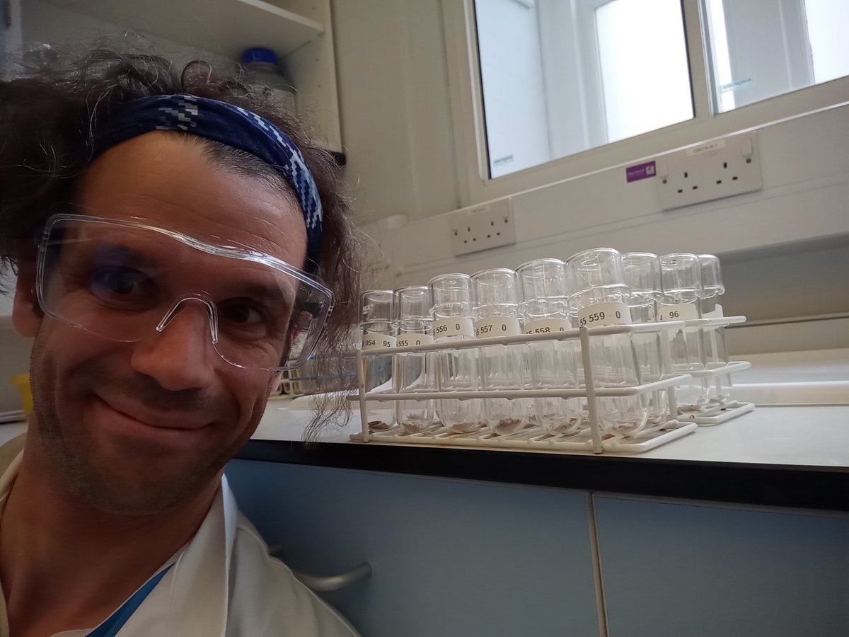 RichardStaff25's tweet image. I am so pleased to be rejoining the world leading @OxRadiocarbon, now under the leadership of the wonderful Rachel Wood,

…where I have been straight BACK IN THE SADDLE in the #radiocarbon (#14C) lab 🦴🧪⌛️:

#Horsepower 🐴🏋️ (3/3)