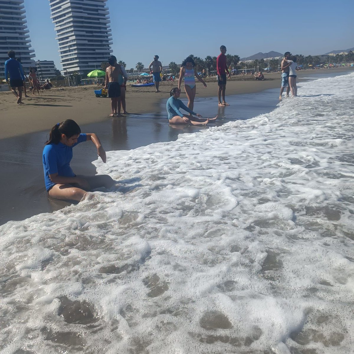 Proyecto675 tweet media