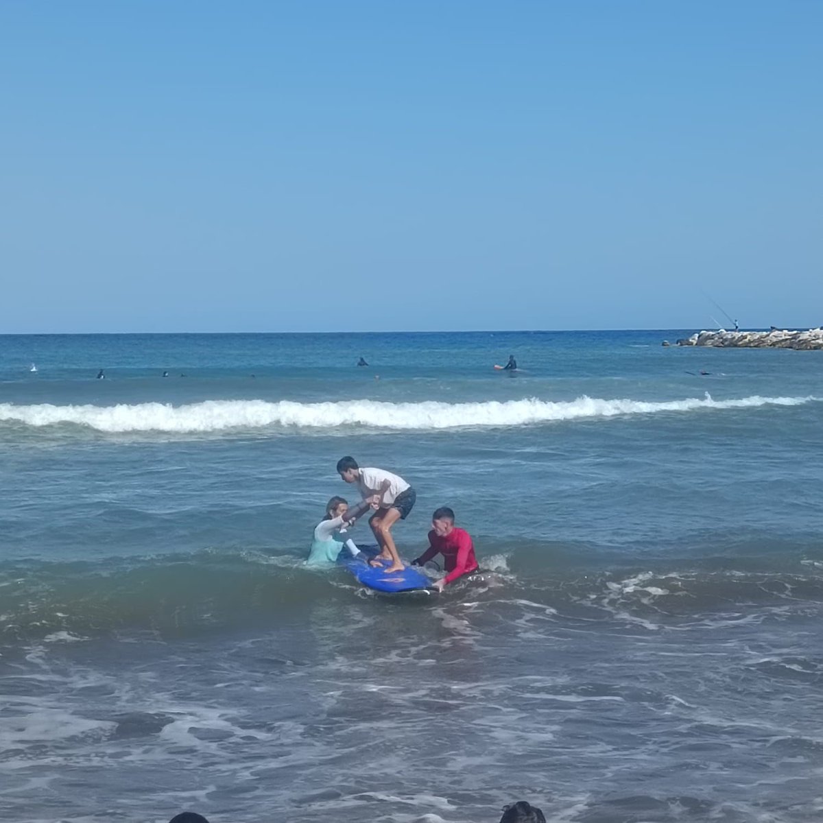 Proyecto675 tweet media