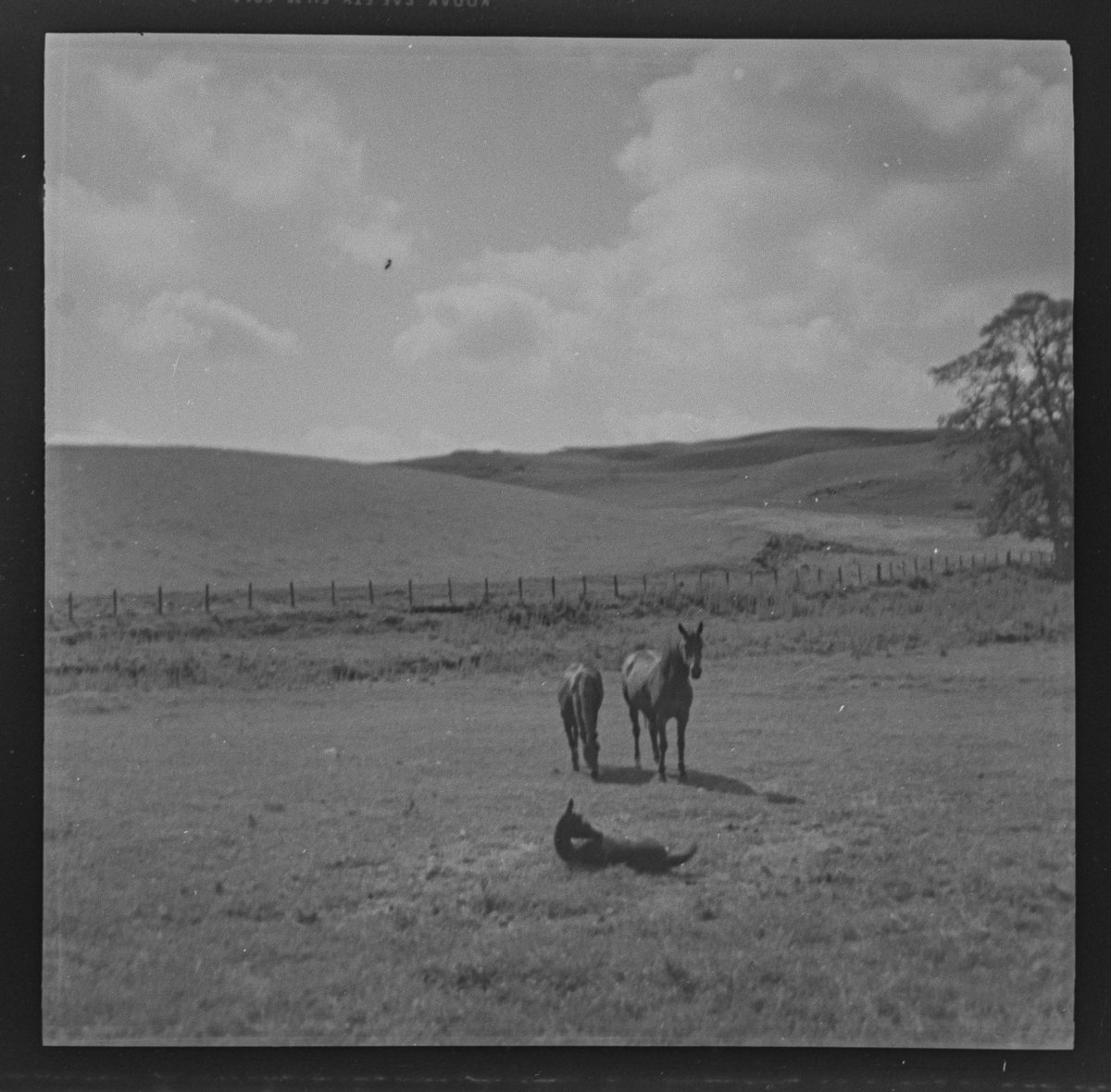 Anthony Robson (not so urban now) (he/him) tweet media