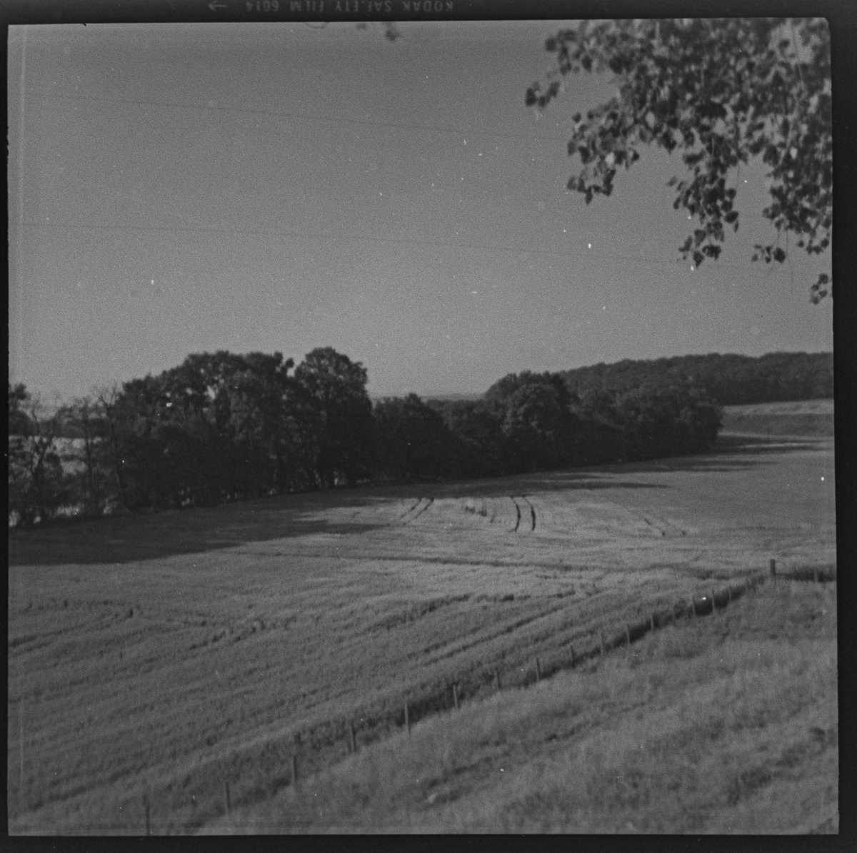 Anthony Robson (not so urban now) (he/him) tweet media