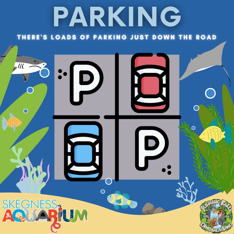 Our attraction does not have parking - but there is plenty nearby!

We are just a short walking distance from the main car parks in Skegness 🅿️