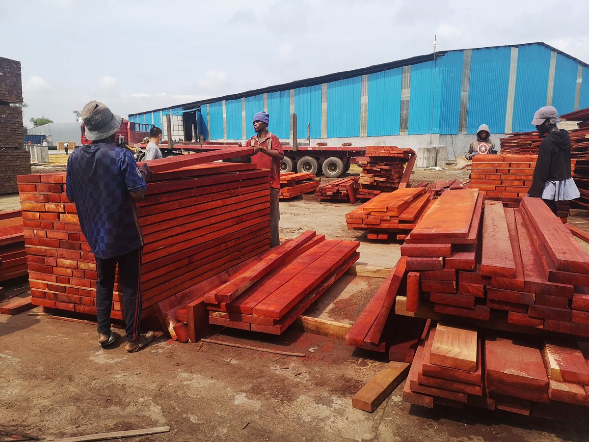 itto_sfm's tweet photo. Capacity building needed urgently in Africa to avoid detrimental impacts of timber trade measures. #ITTO #CBFP #SFM
Photo caption: Sorting sawnwood at a yard in the Democratic Republic of the Congo. Photo: Li Yinfeng
Read the Top Story: https://t.co/T5QJfLCv8t https://t.co/VspN1wUv84