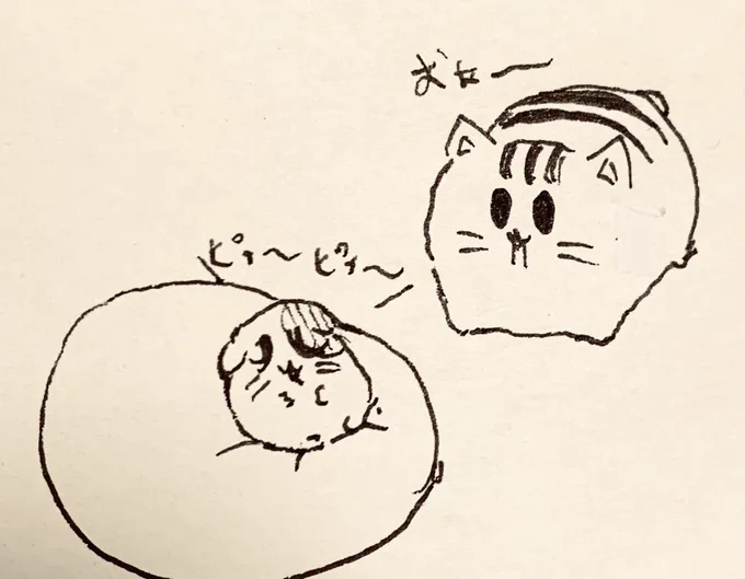 もちぷちさんもいびきかいて寝てるね🐱 