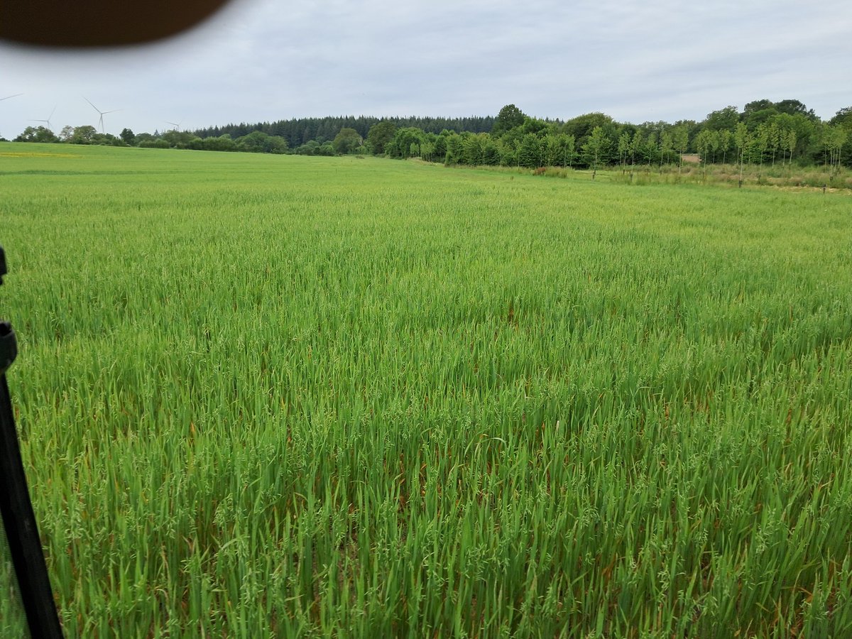 Agriculteur Bio Engagé, la Ferme de Châteauneuf tweet media