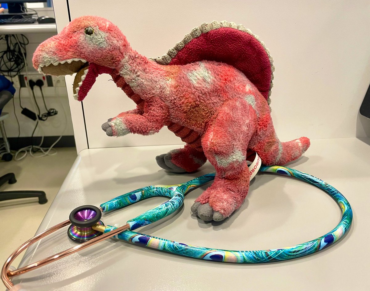 Rachel Rowlands (@rachrwlnds) on Twitter photo Have you lost your dinosaur? They are helping the team <a href="/ED_Paeds/">Leicester Royal Infirmary Children's ED</a> in <a href="/Leic_hospital/">Leicester's Hospitals</a> until we can get them home. Please repost to help get them home 😊 Have you lost your dinosaur? They are helping the team <a href="/ED_Paeds/">Leicester Royal Infirmary Children's ED</a> in <a href="/Leic_hospital/">Leicester's Hospitals</a> until we can get them home. Please repost to help get them home 😊