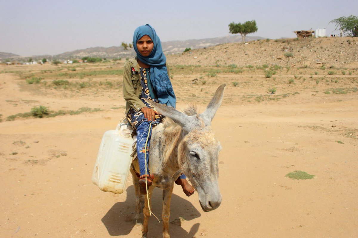 suhailchannel's tweet photo. قالت إن الألغام من أهم المخاطر..
مسؤولة أممية: اليمن يعيش أزمة اقتصادية قوية والوضع الإنساني ما يزال متدهورا
https://t.co/pkISYN5fk0
#سهيل #اليمن https://t.co/JS0WhhnQMA
