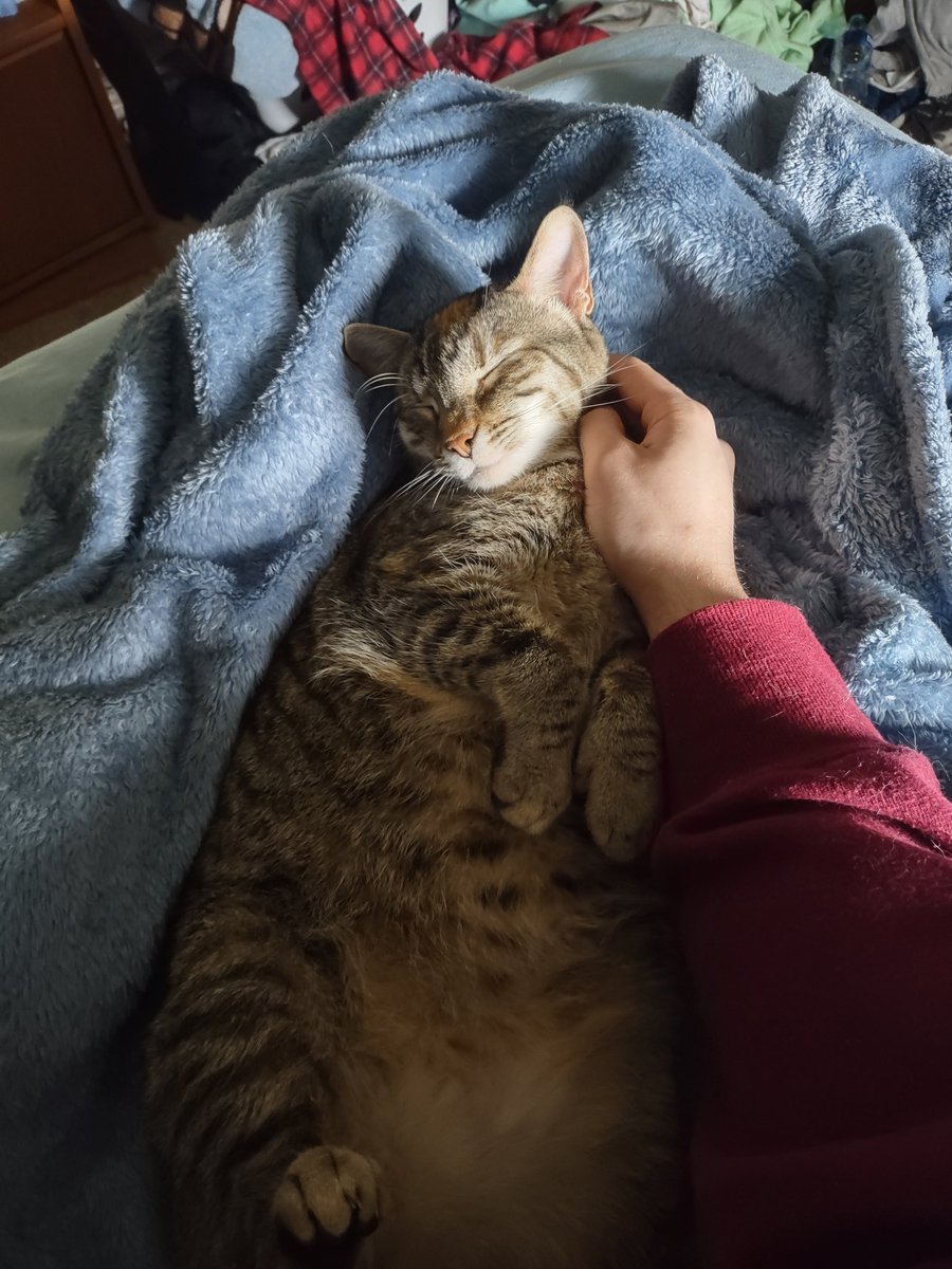 Fuckbtskpop1's tweet photo. Literally don't know what I'd do without my baby https://t.co/8B2QIWsZhq