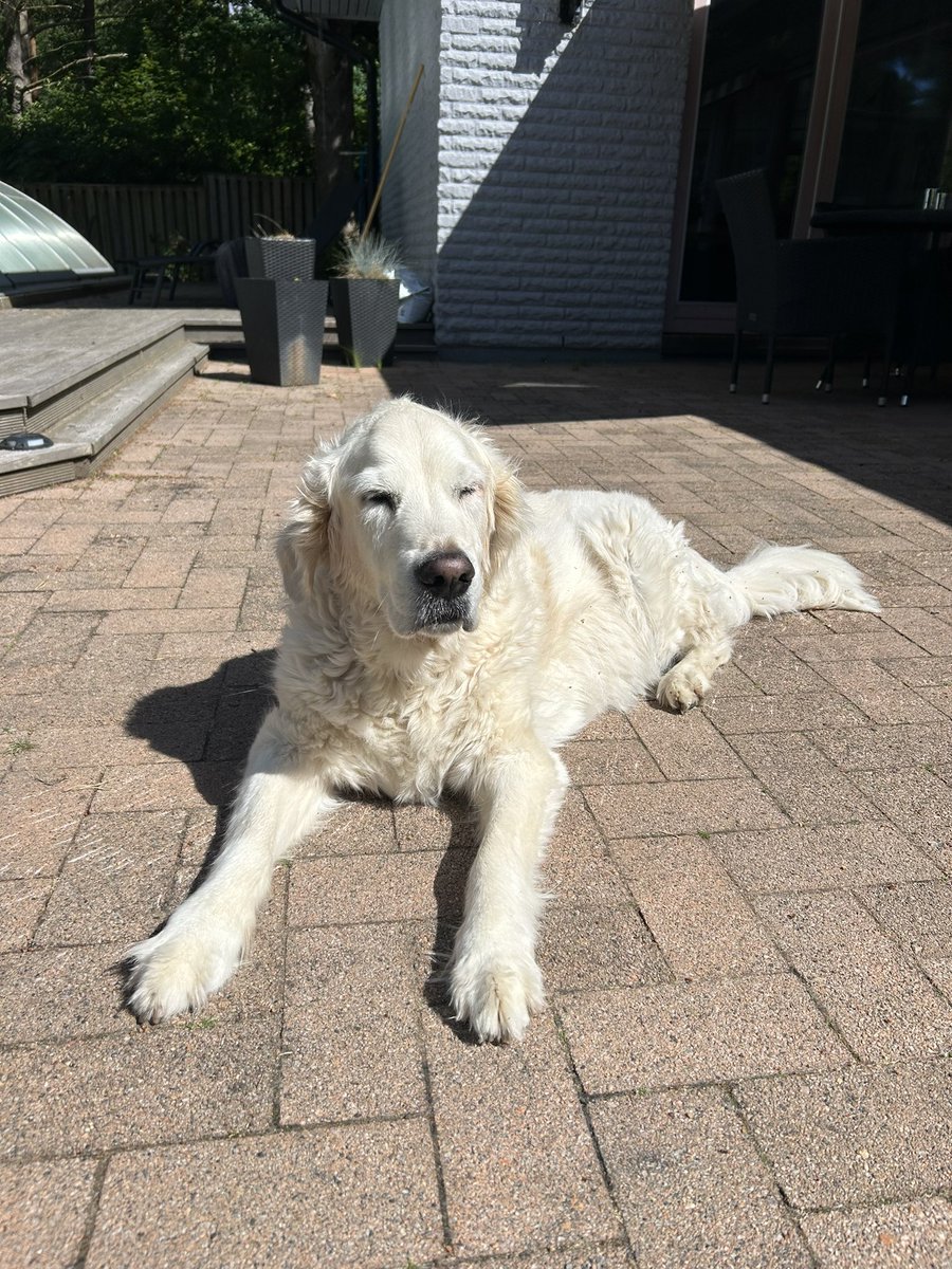 Christoffer tweet media