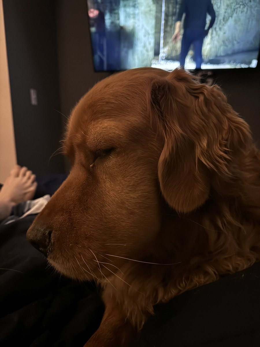 CGreen0402's tweet photo. Daddys boy got stung in the face by Yellow jackets!! This is after the swelling when down.. Before pictures coming. Next… RUCKER. GREEN https://t.co/aP4O6u0qD2