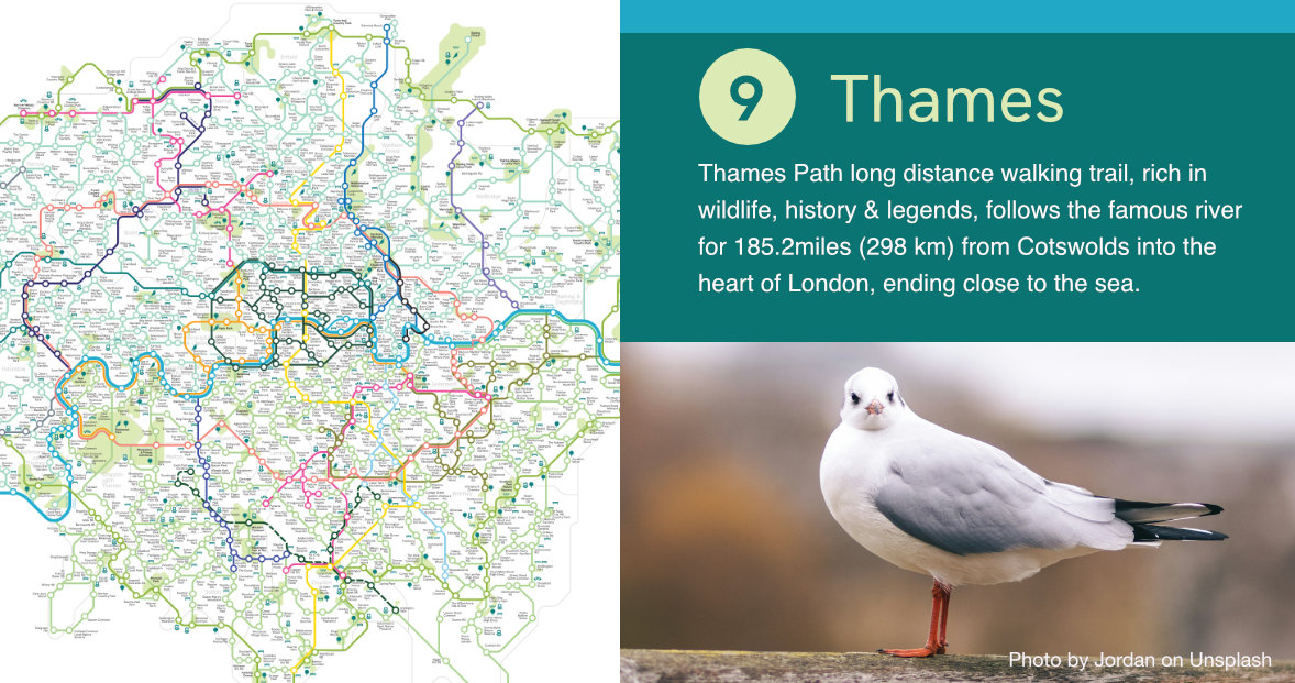 Thames Path - long distance trail rich in wildlife, history and legends, follows the famous river from Cotswolds into the heart of London 💙

👉 nationaltrail.co.uk/en_GB/trails/t…