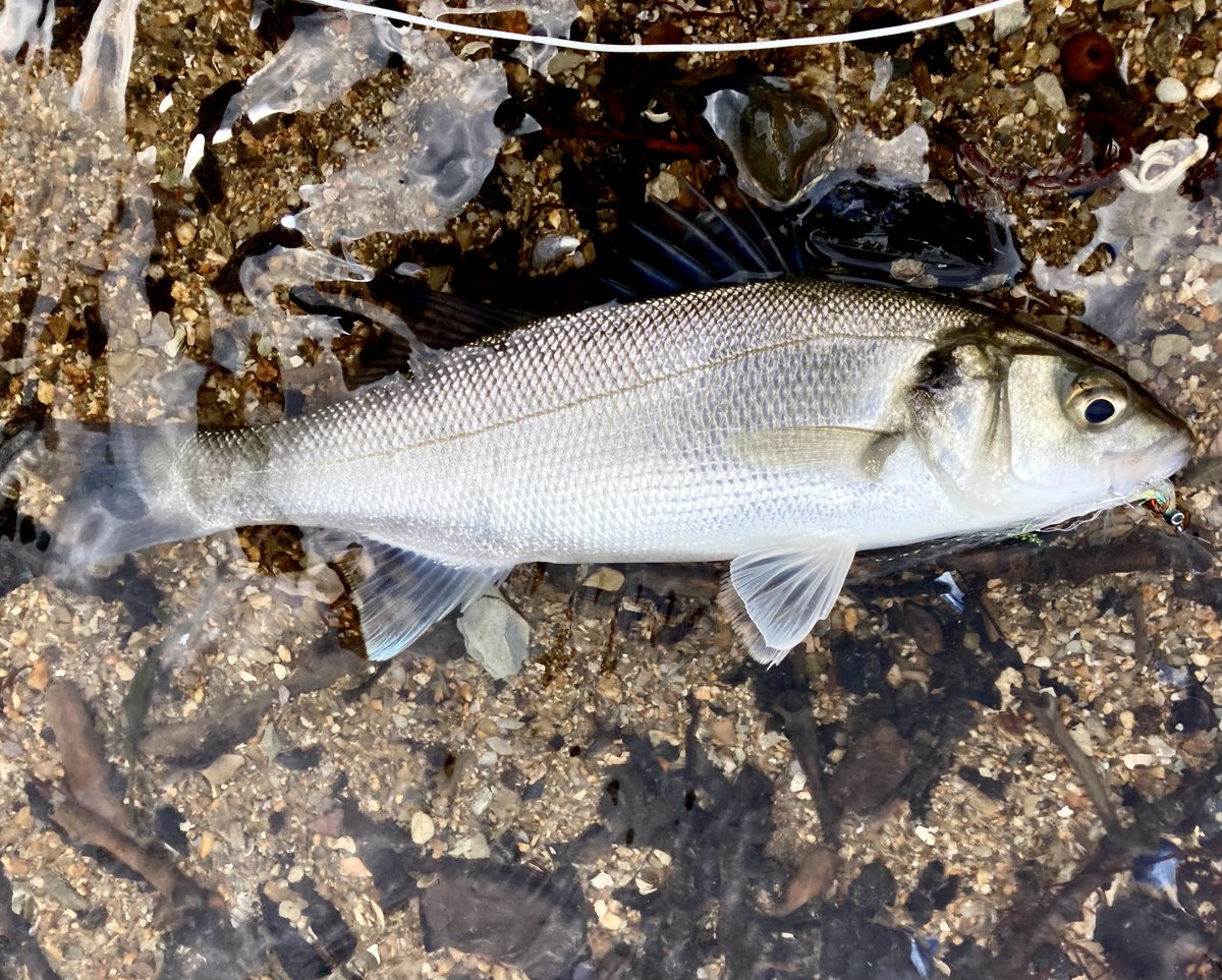 Jeff pearce 〓〓 tweet media