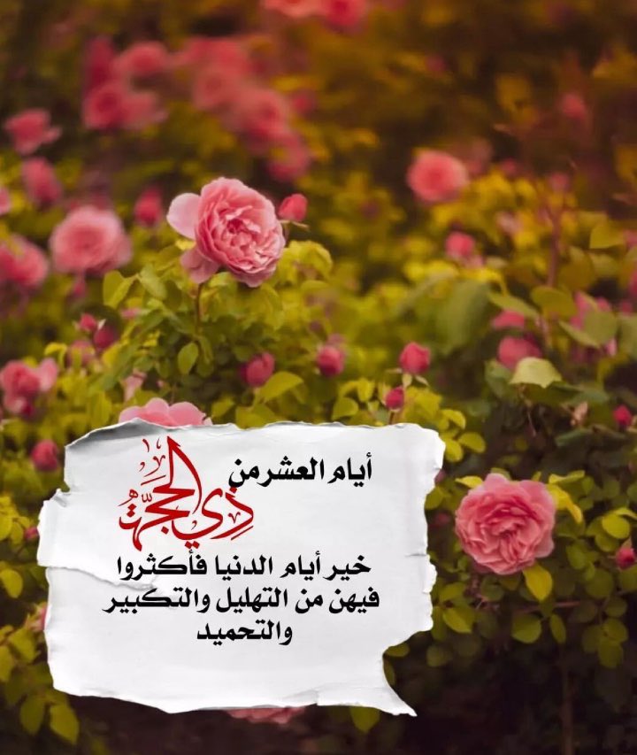 هیفـا🌱🇦🇪 tweet media