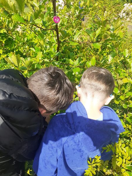 greenspacetrust's tweet photo. We had a good outdoor learning session at Addiewell Wee Forest during the schools monitoring day, with pupils from both Addiewell and St Thomas Primary Schools #weeforest #outdoorlearning https://t.co/AHOKSY5R94