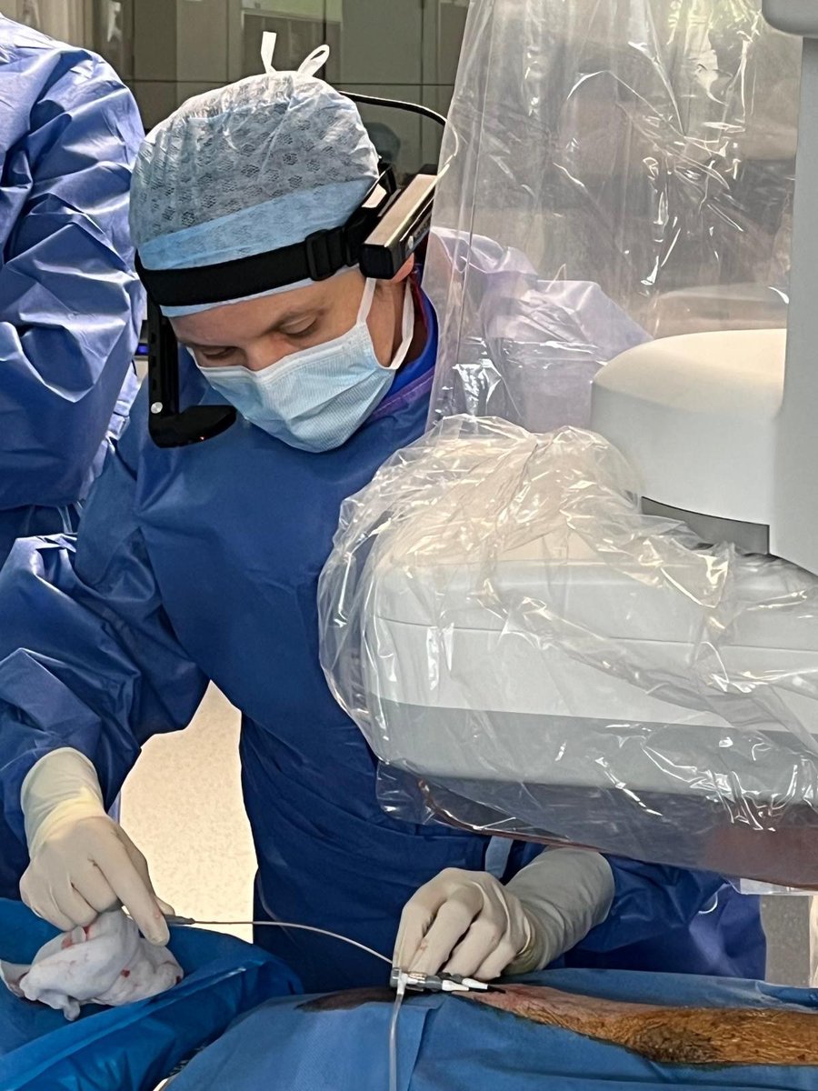 Rods&Cones tweet media