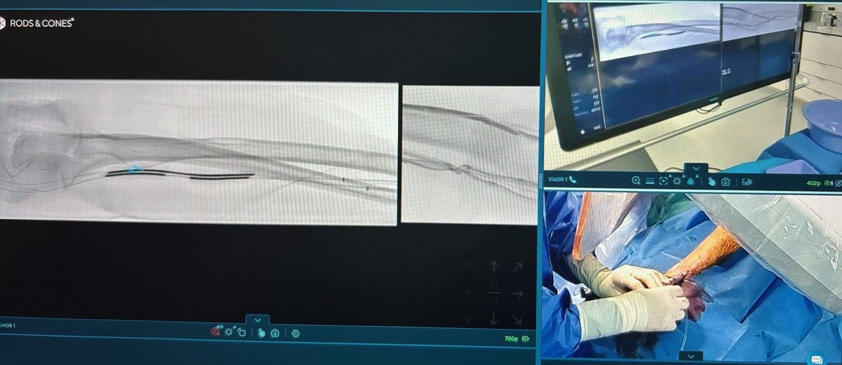 Rods&Cones tweet media