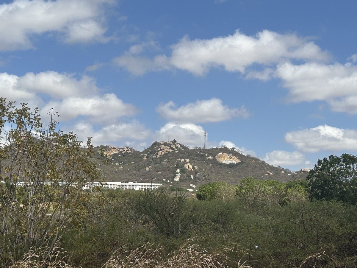 Mitul Baruah tweet media