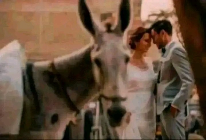 المختصر_!
 ہر میٹھا لمحہ میسر ہونے پہ کوئی نہ کوئی گدھا اسے برباد کرنے ضرور آن پہنچتا ہے_