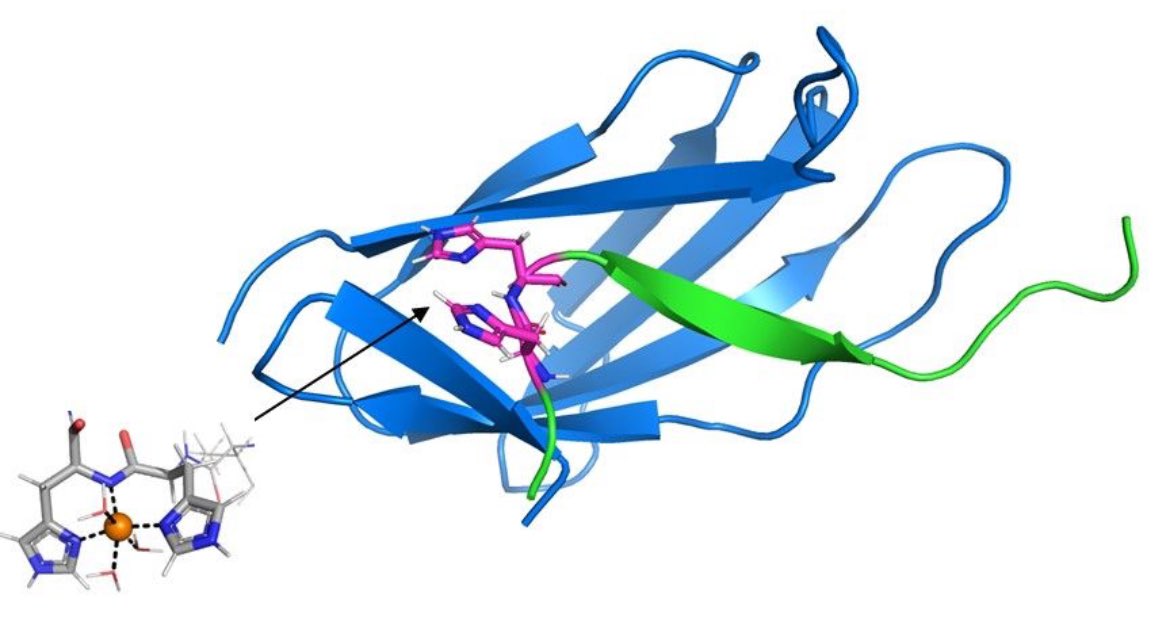 Tegoni Lab tweet media