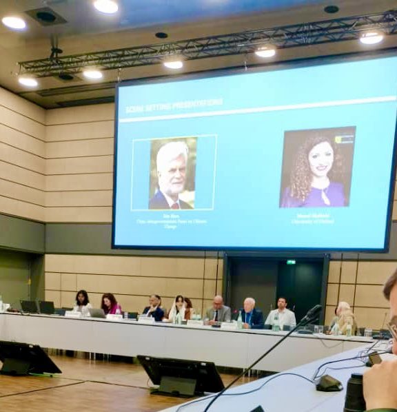 Manal Shehabi 马梦真 tweet media