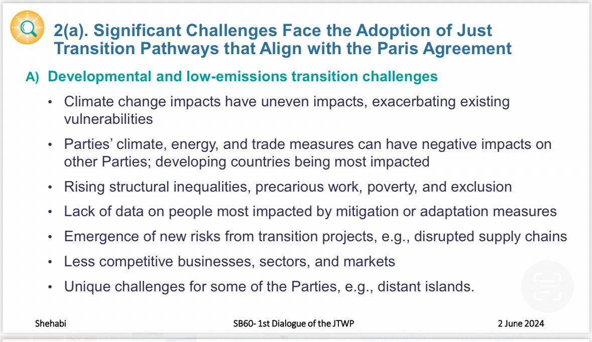 Manal Shehabi 马梦真 tweet media