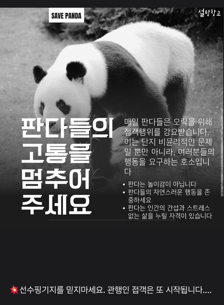fubao2moo's tweet photo. #savefubao #savepanda #SaveFubao #SavePanda https://t.co/oprWXIyDLE