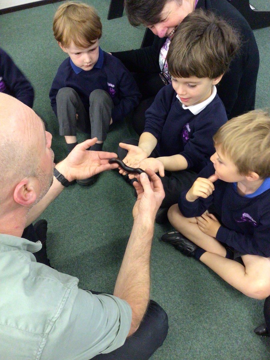 We are thoroughly enjoying Mini beast Monday 😃