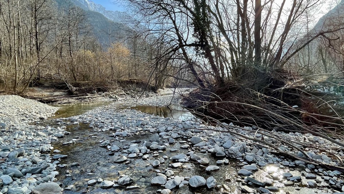 New research on river ecomorphodynamics! 🌊🌱

doi.org/10.1029/2023GL…

We show that flow-sediment-vegetation interaction produces deterministic chaos and identify the triggers. This implies long-term riverbed evolution predictions need to be rethought.🔍