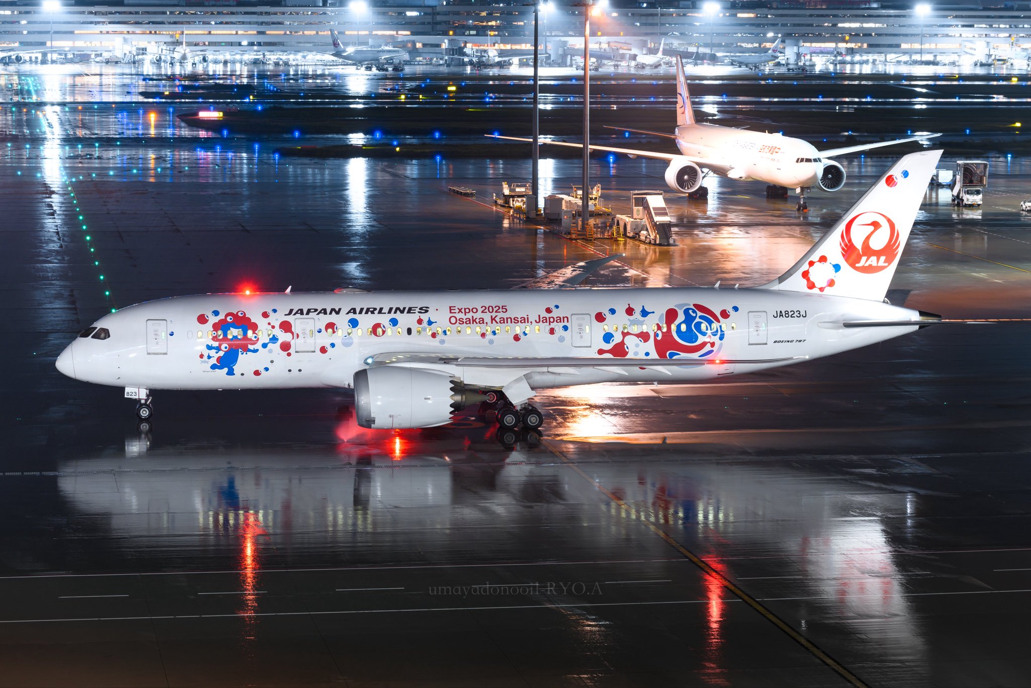 今年も話題の B787-8 JAL JA823J ギア脱着可能 大阪万博塗装 1