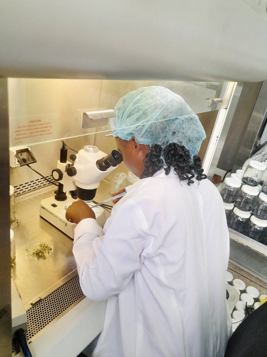 BNARI-GAEC tweet media