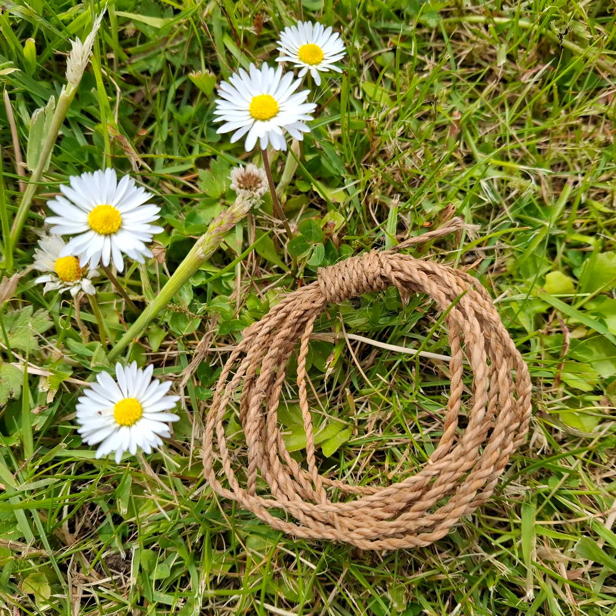 WeAreNatureCIC's tweet photo. A lovely little coiled length of lime bark cordage.
#naturalcraft #connectwithnature #cordage #cordagemaking #limebarkcordage #mindfulness https://t.co/JilpegEwWn
