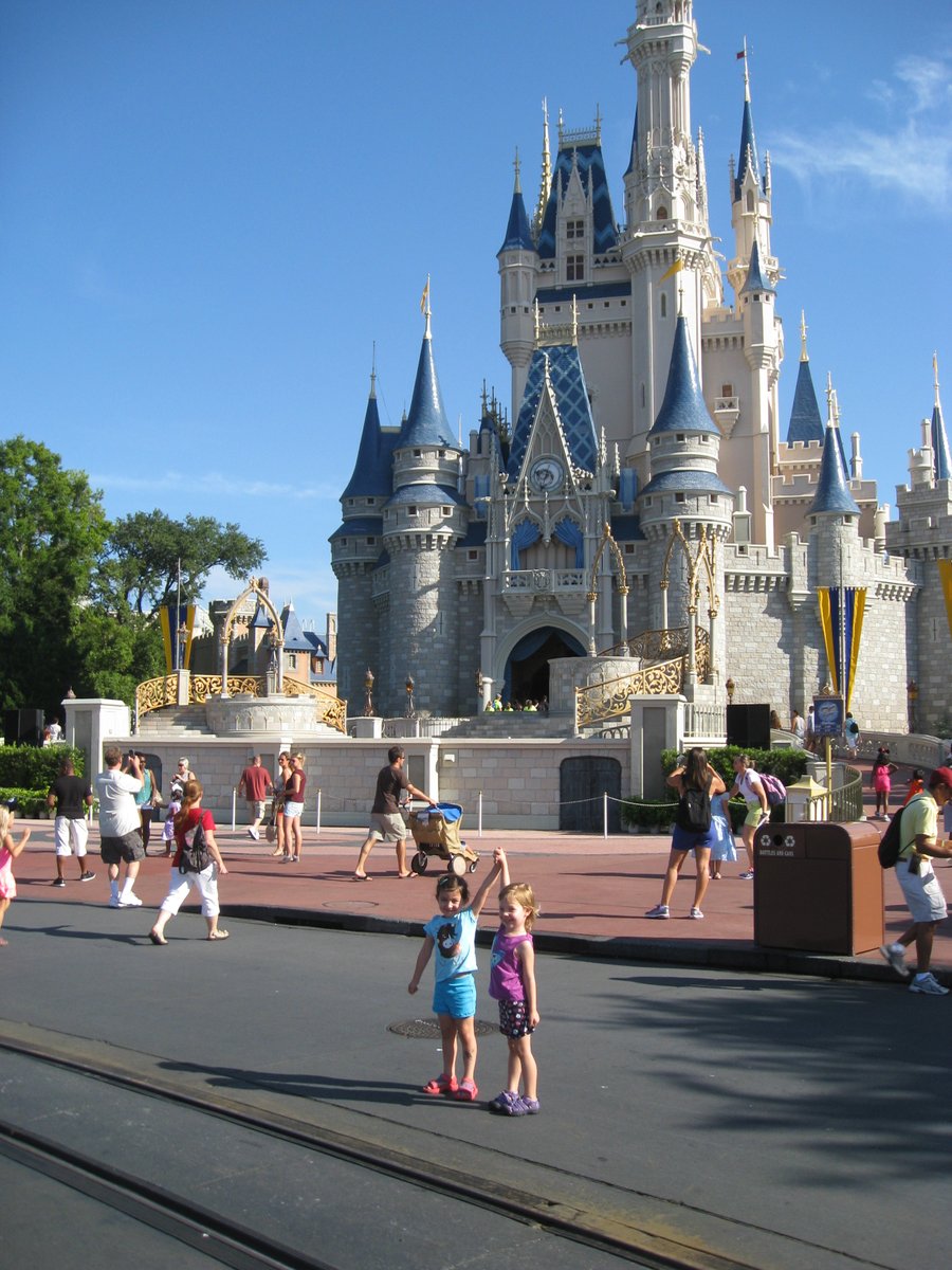 intheolivegroves tweet media