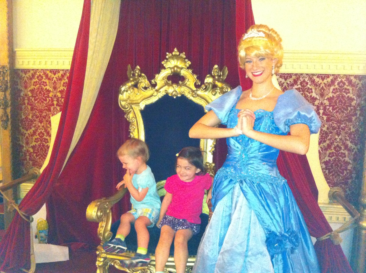 intheolivegroves tweet media