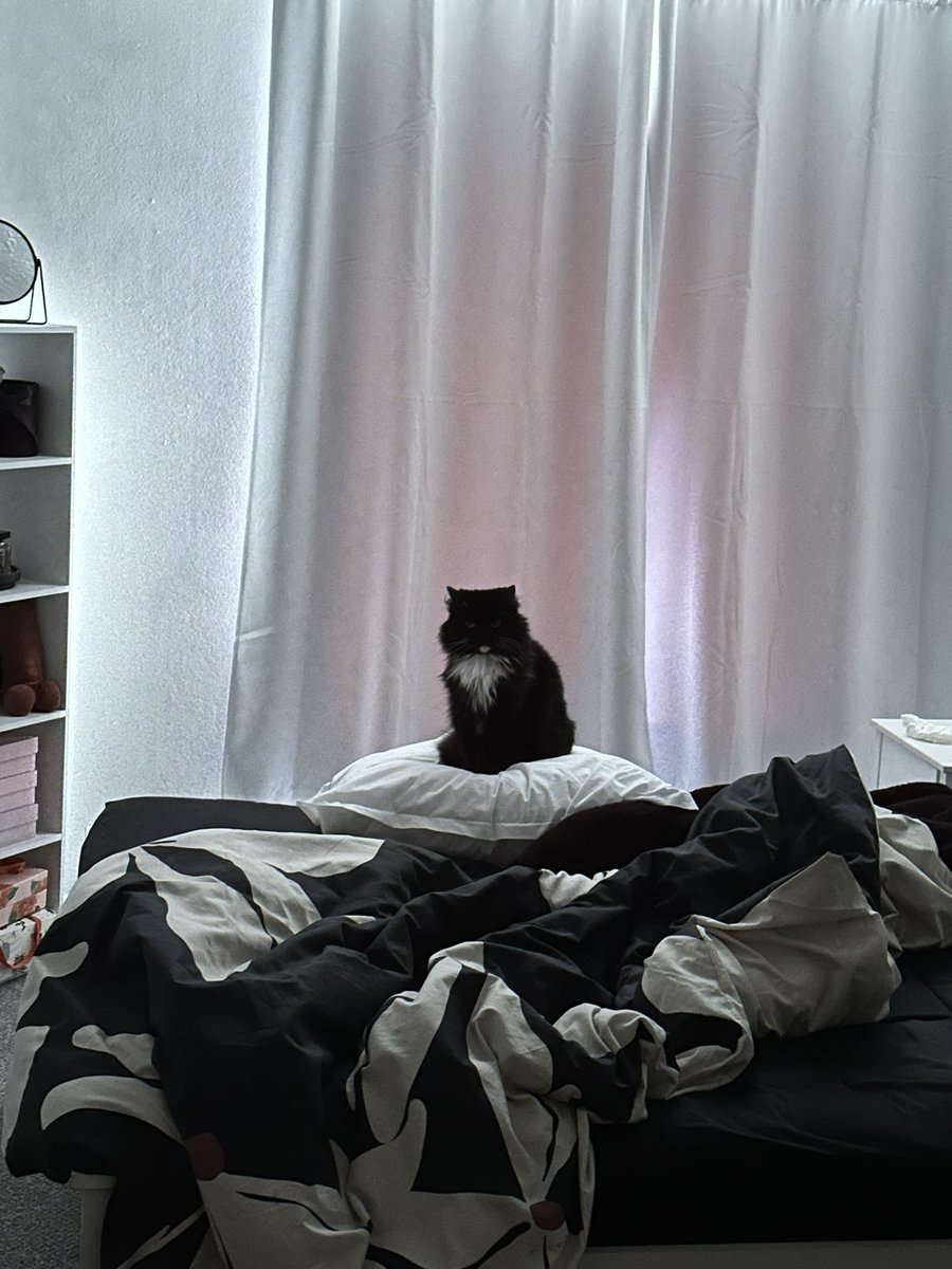 Mum bought me a new pilliow ..