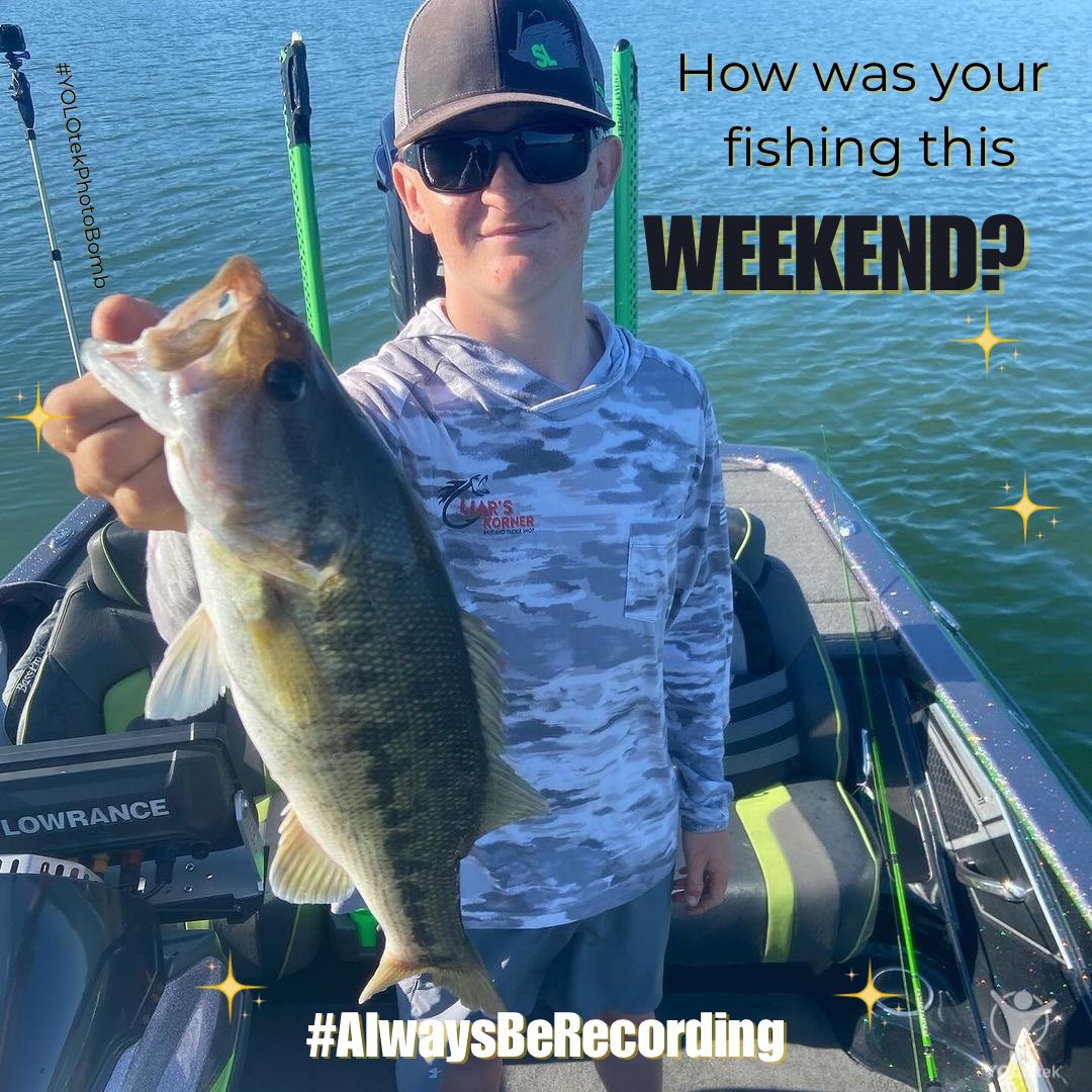 myYOLOtek tweet media