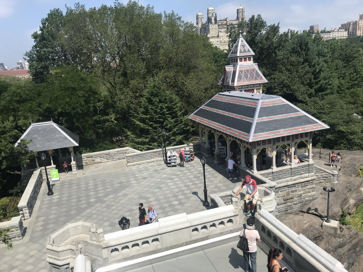 intheolivegroves tweet media