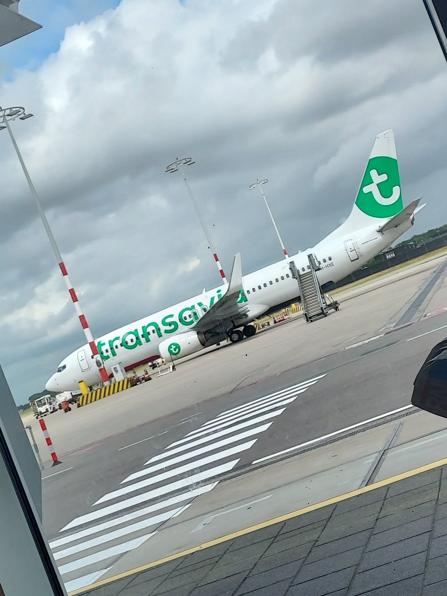 naugthy_witchy's tweet photo. Met een kleine vertraging staat de wit/groene vogel er 😅
#opnaarmalaga #minitweetup https://t.co/H4qEa5KbeG