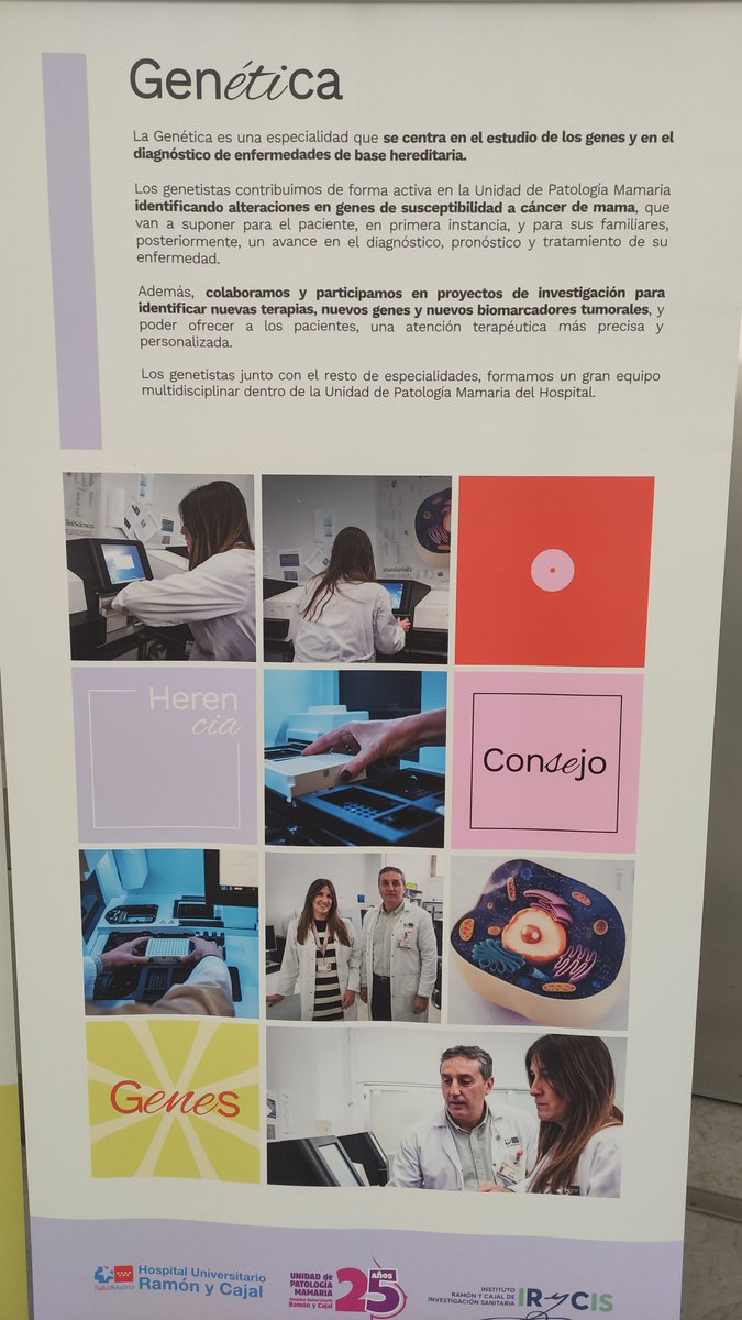 MAMorenoPelayo's tweet photo. Hoy celebramos el 25 aniversario de la Unidad de Patologia Mamaria del HRyC en la que participa el Servicio de Genética proporcionando el diagnóstico molecular de los casos hereditarios. Un gran equipo!!!
@AEGHgenetica #HRyC #IRYCIS @CIBERER https://t.co/ytNJ65X6Ze