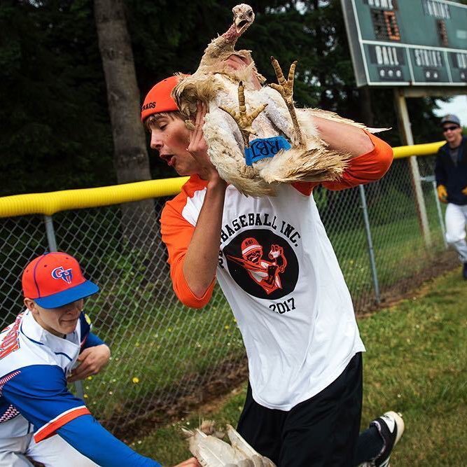 RuralBaseball tweet picture