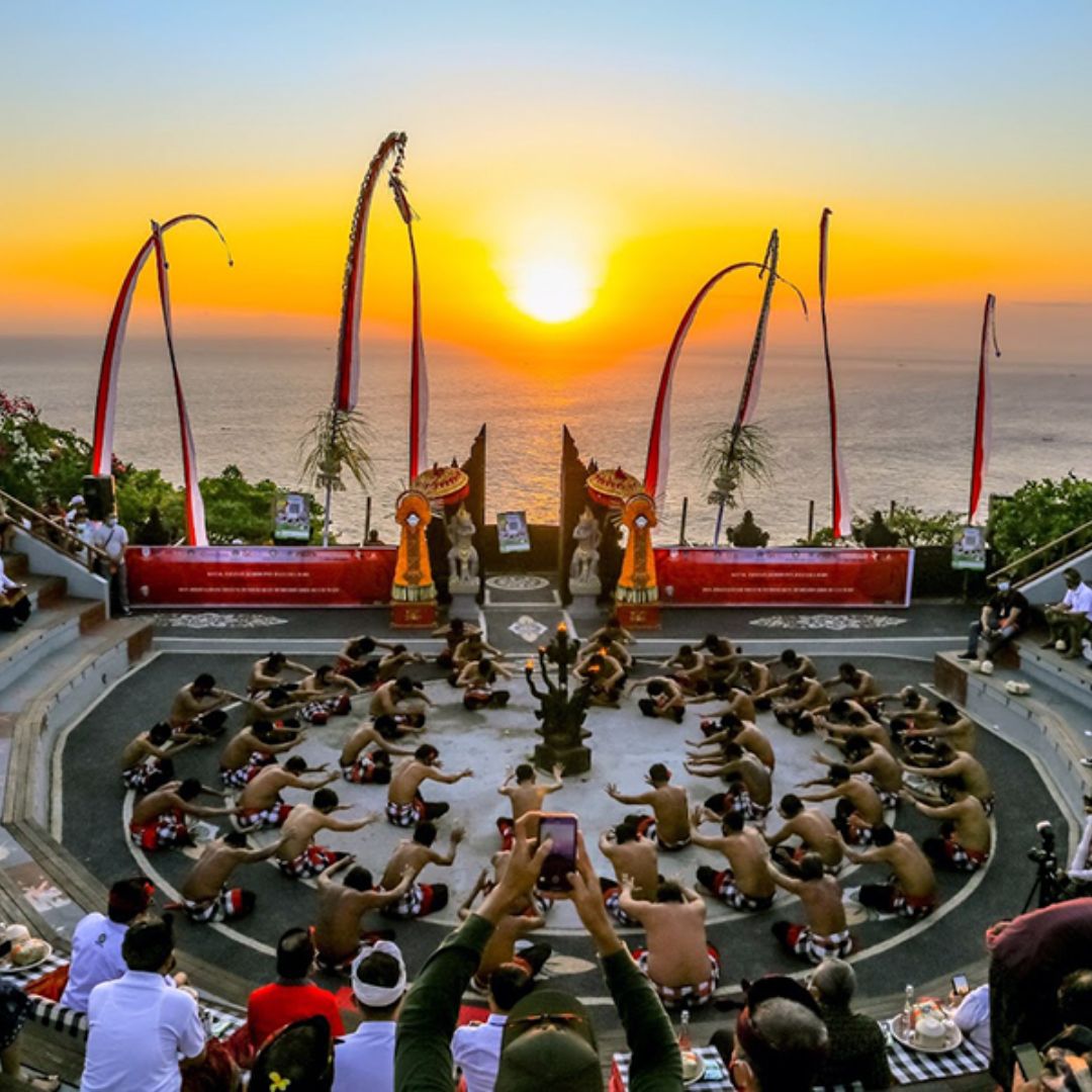 The Blueberry Trails tweet media