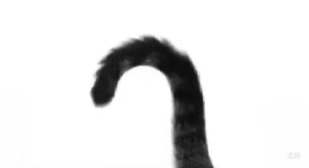 beegirlx's tweet image. meow