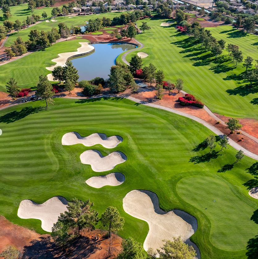 RavenPHX tweet media