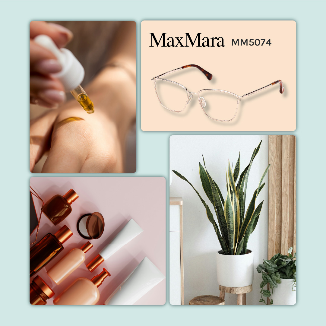 Shopko Optical tweet media