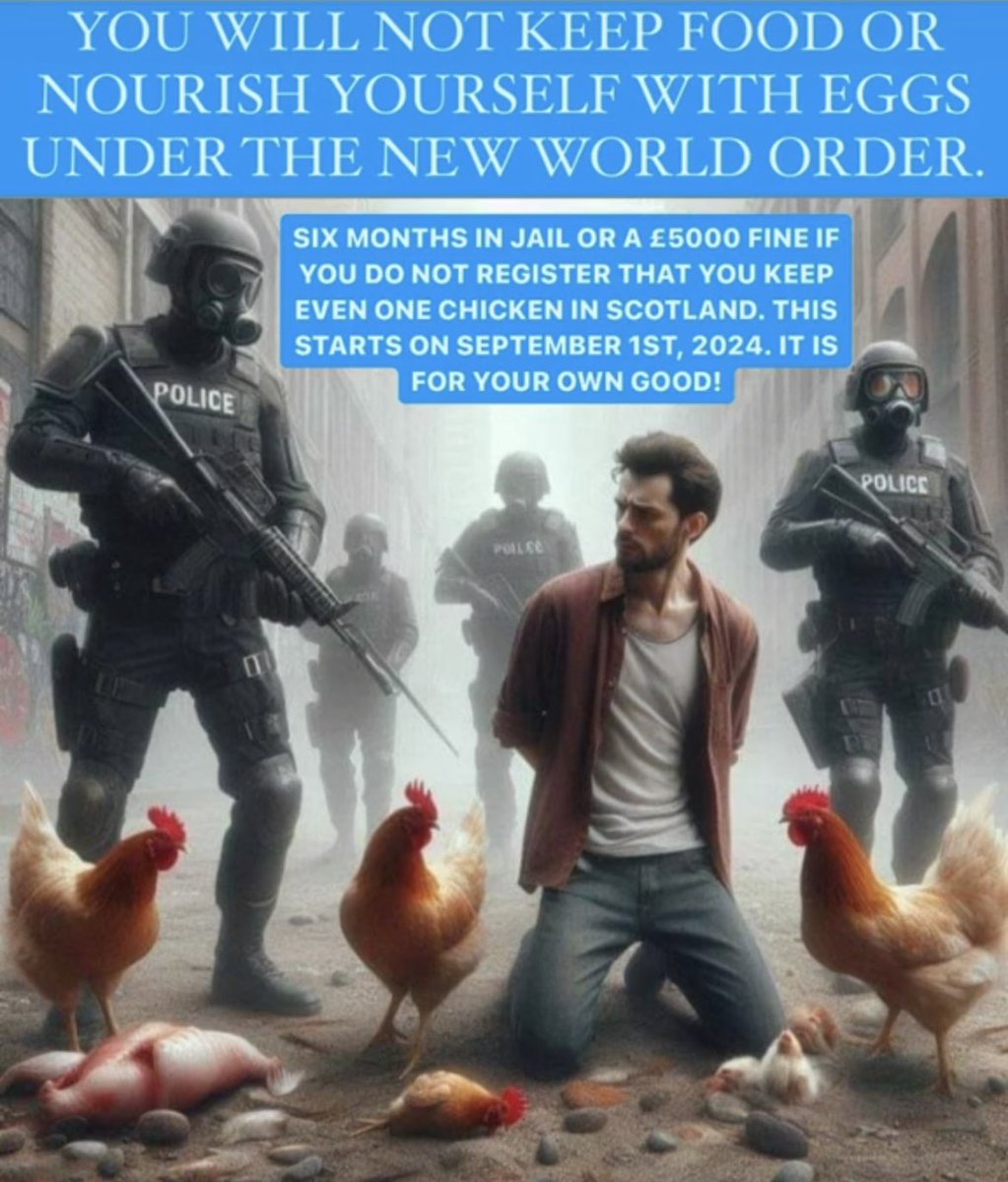 RobinReichman1's tweet photo. INSANITY 🐓 https://t.co/NuKdcNpAIW