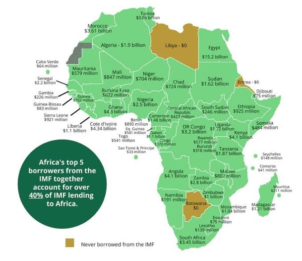 Mkubwa Global tweet media